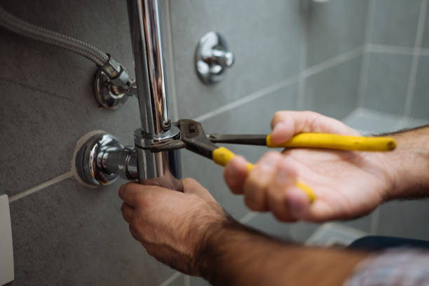 Best Plumbing Inspection Services  in Golden Valley, MN